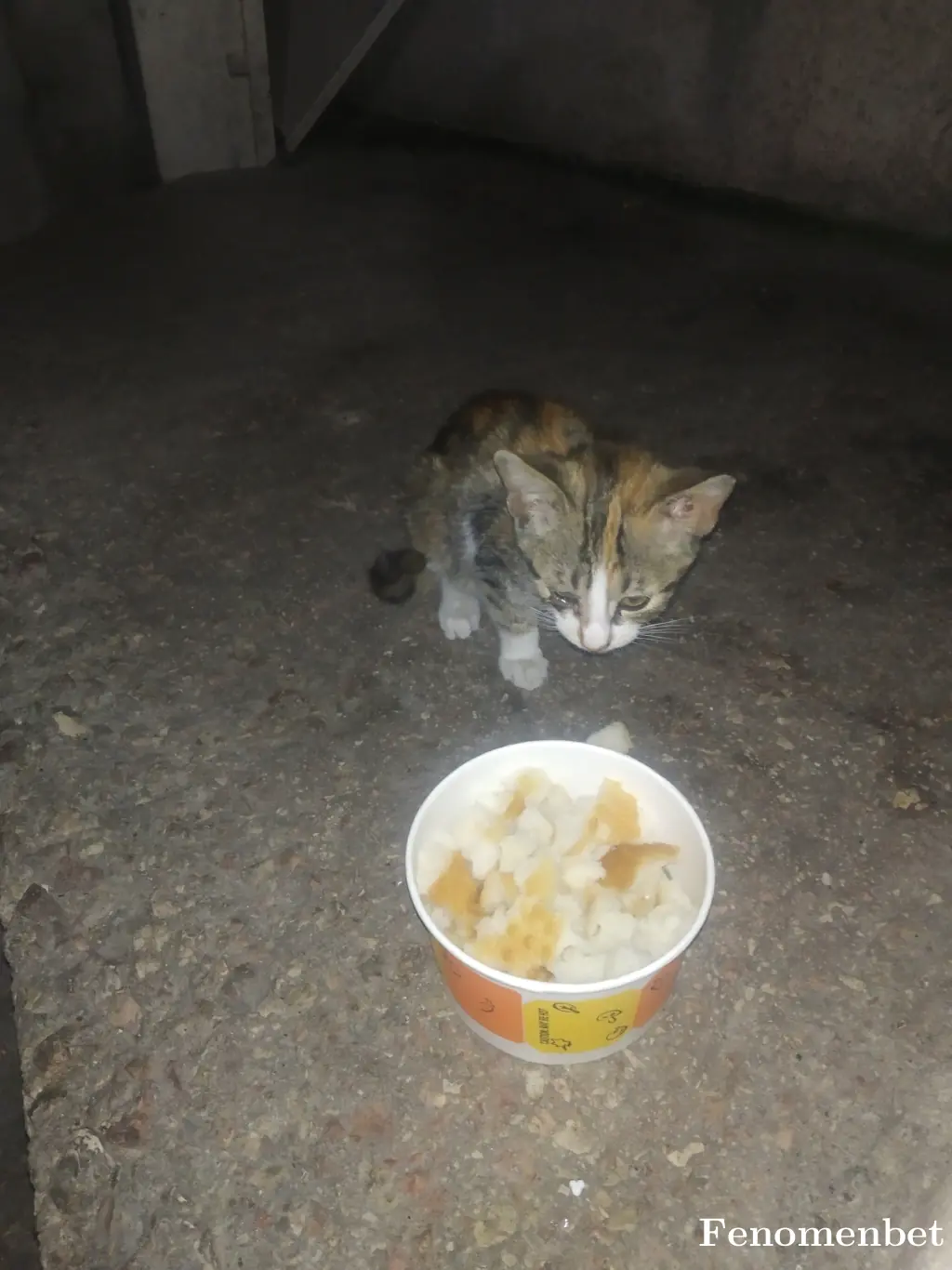 Yigitalp05 tarafından paylaşılan fotoğraf