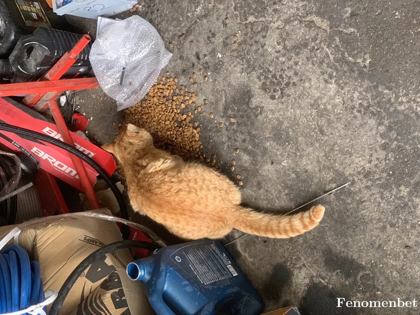 Oktayyy tarafından paylaşılan fotoğraf