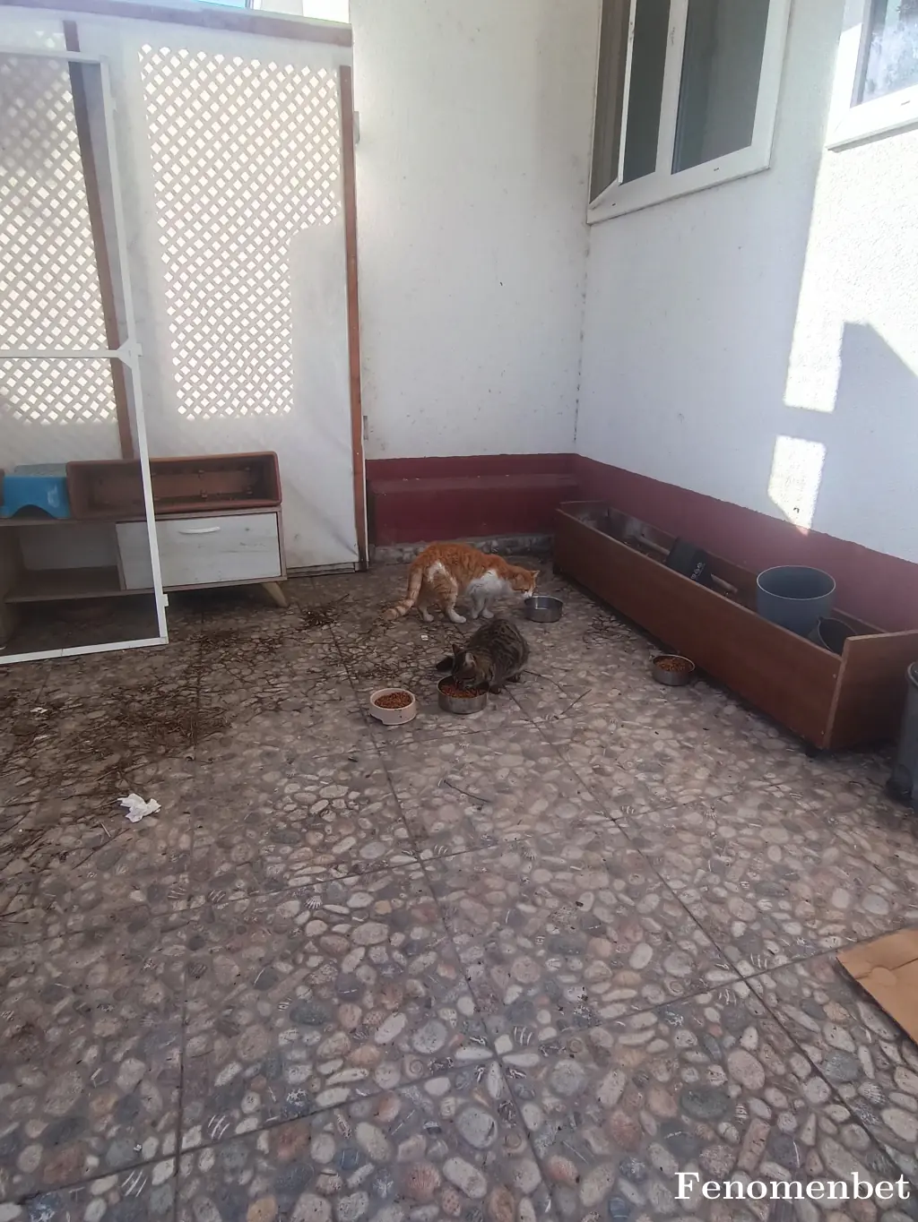 mgchacha tarafından paylaşılan fotoğraf