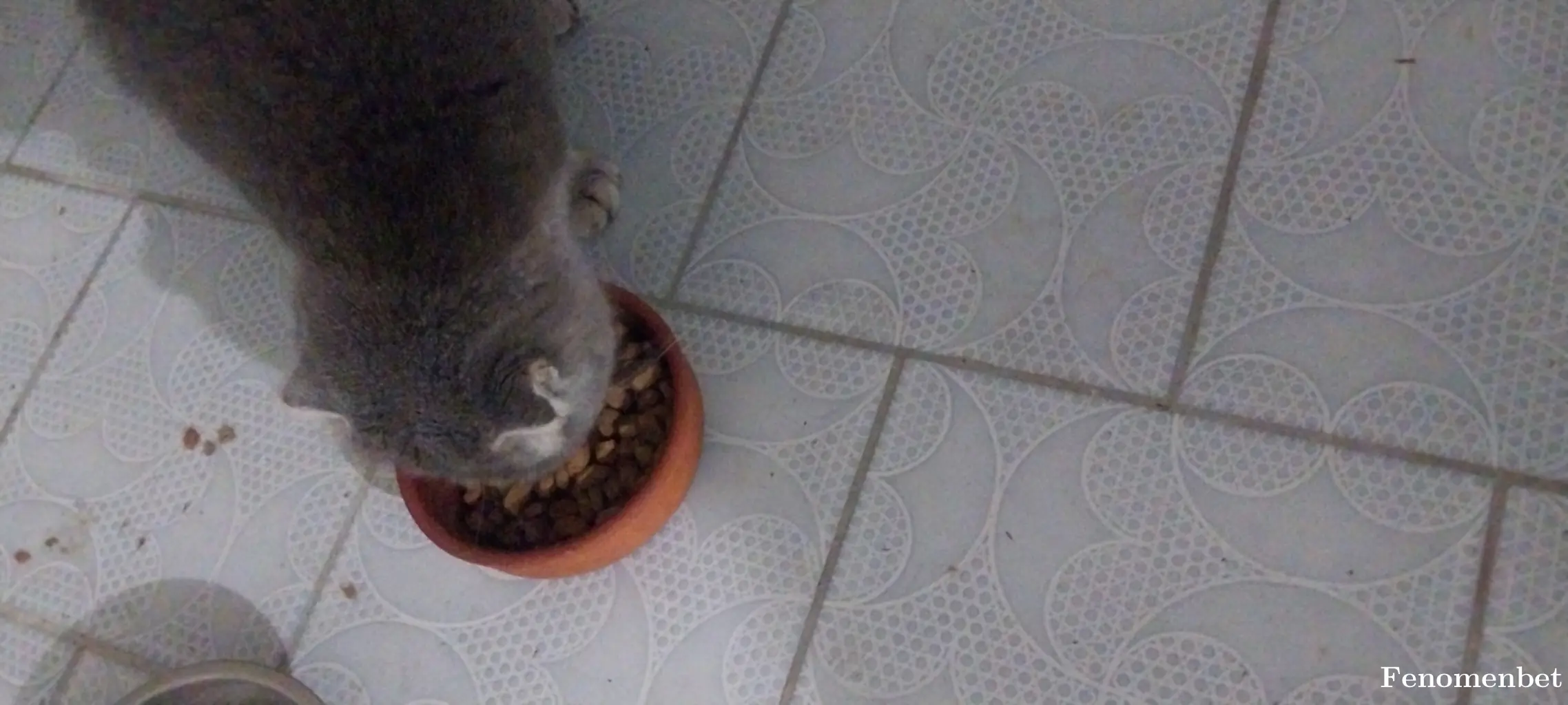 Malefizz1 tarafından paylaşılan fotoğraf