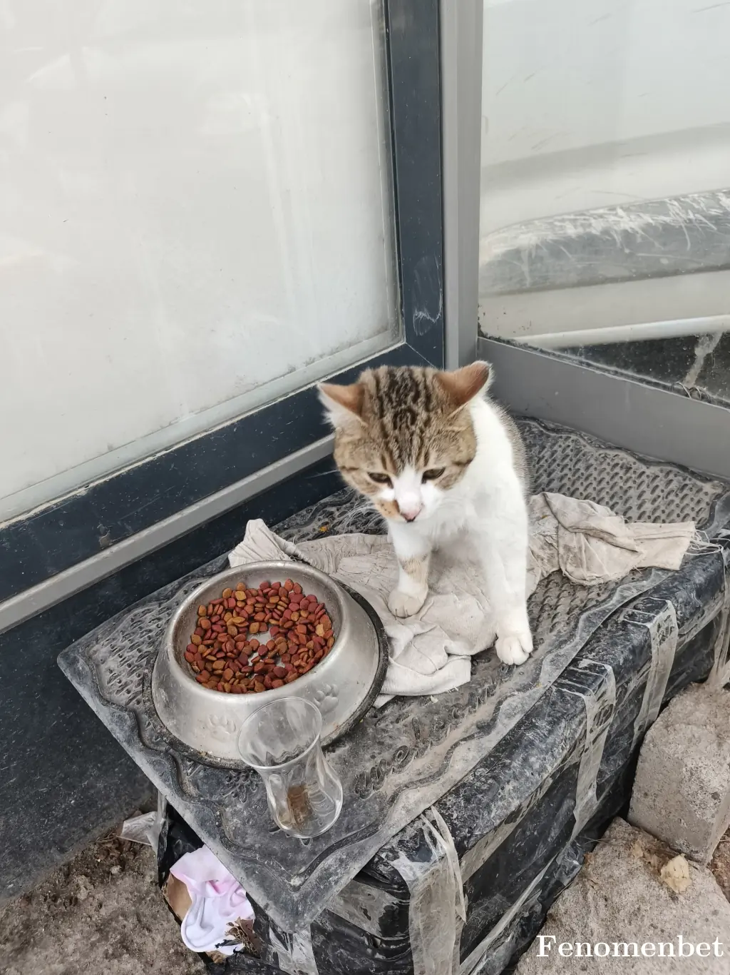 Sedatklxc tarafından paylaşılan fotoğraf