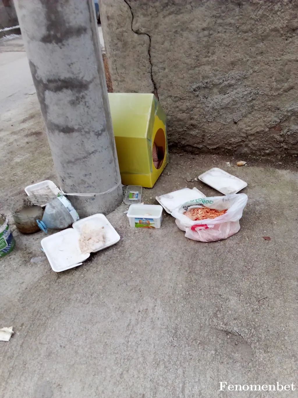 Bayramtemur1  tarafından paylaşılan fotoğraf