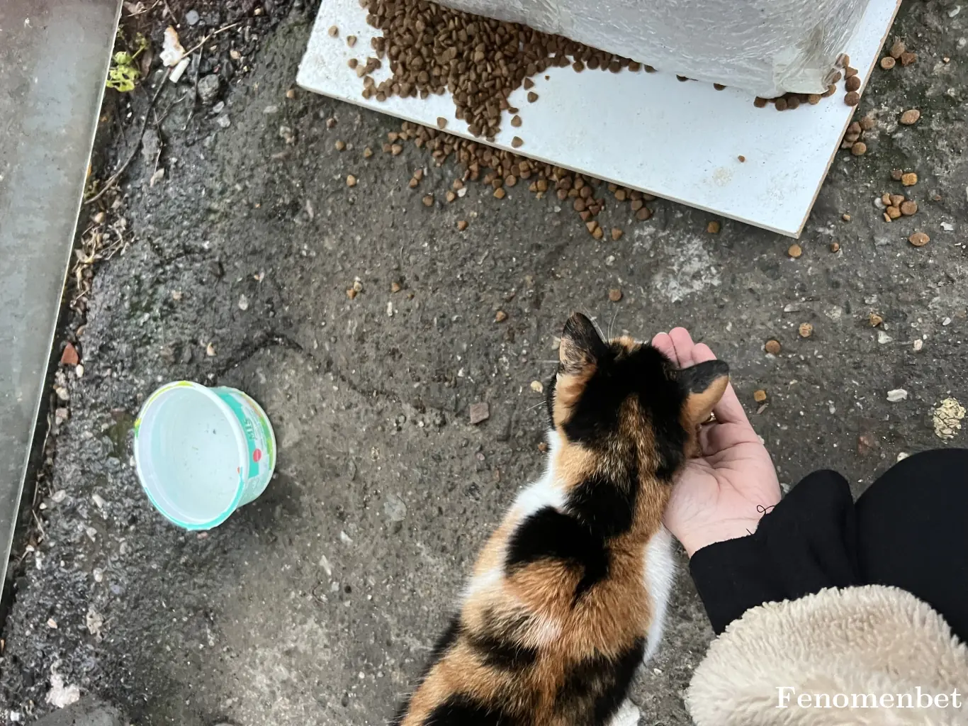 OzgeSezin tarafından paylaşılan fotoğraf