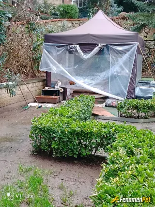 Sokak hayvanı besleme: Kedi ve köpekler için onlara çadır yaptım