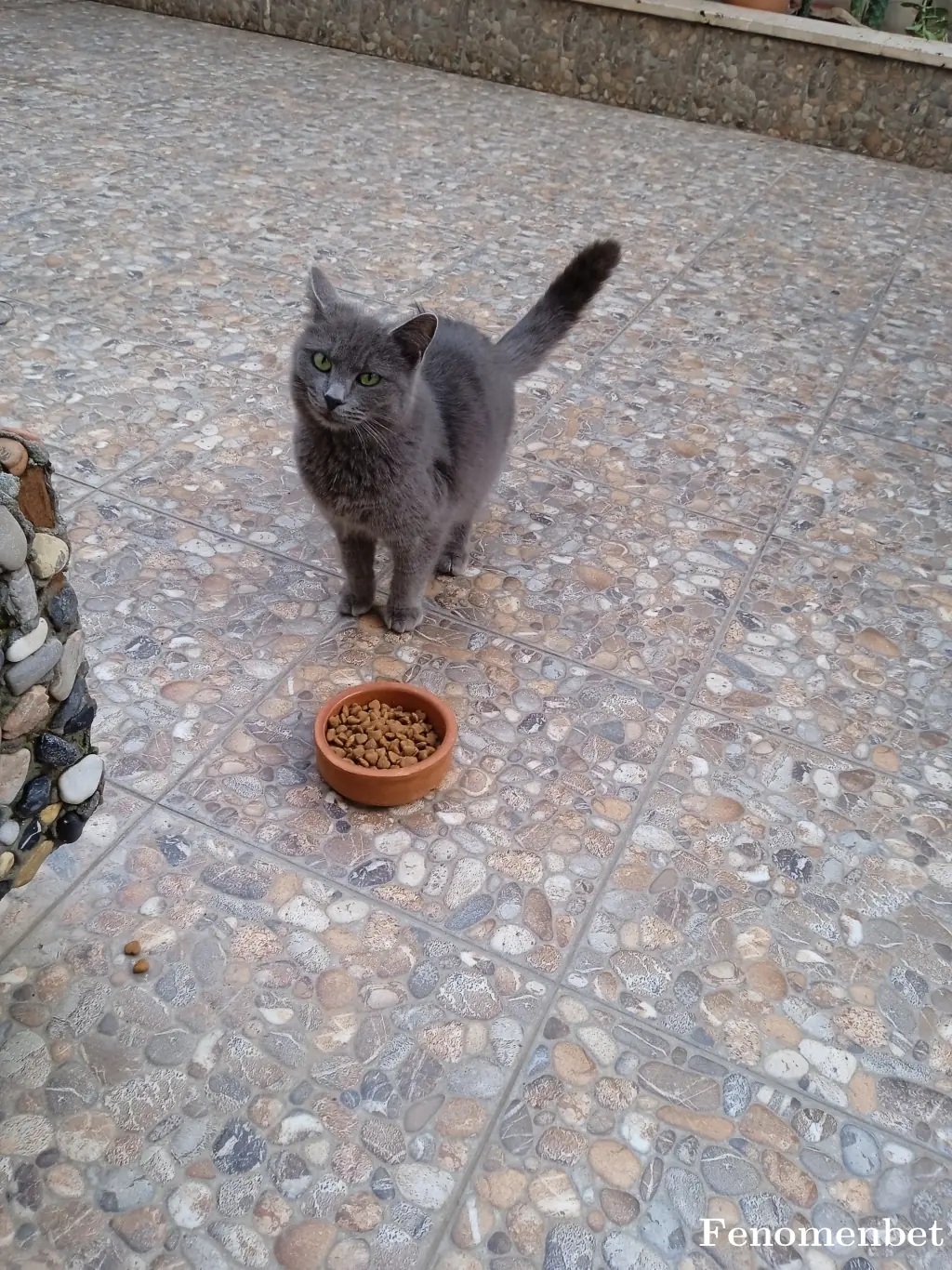 Cnkskn1 tarafından paylaşılan fotoğraf