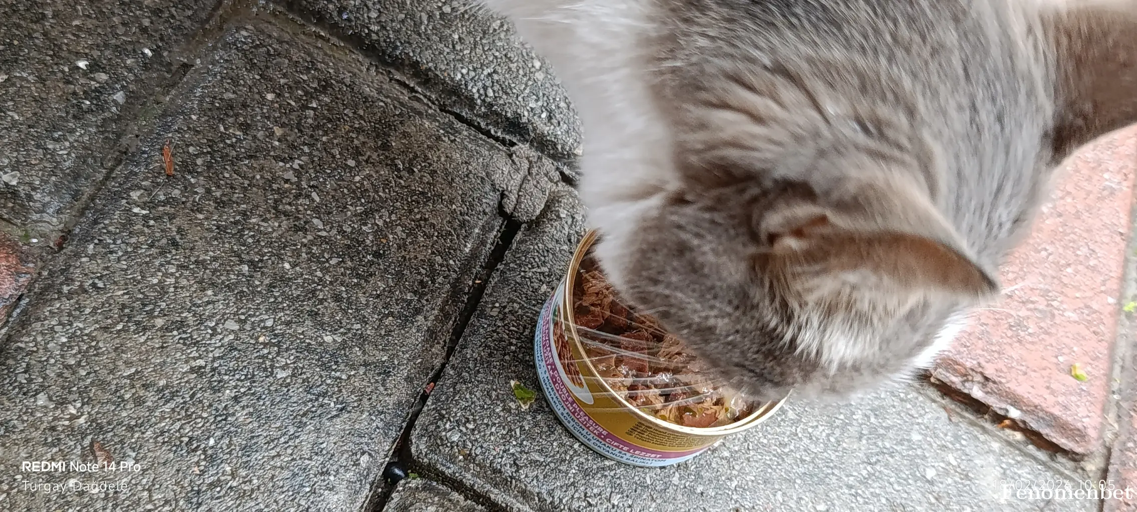 Turgay19051982 tarafından paylaşılan fotoğraf