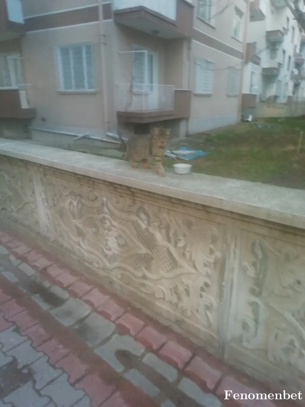 sokratess tarafından paylaşılan fotoğraf