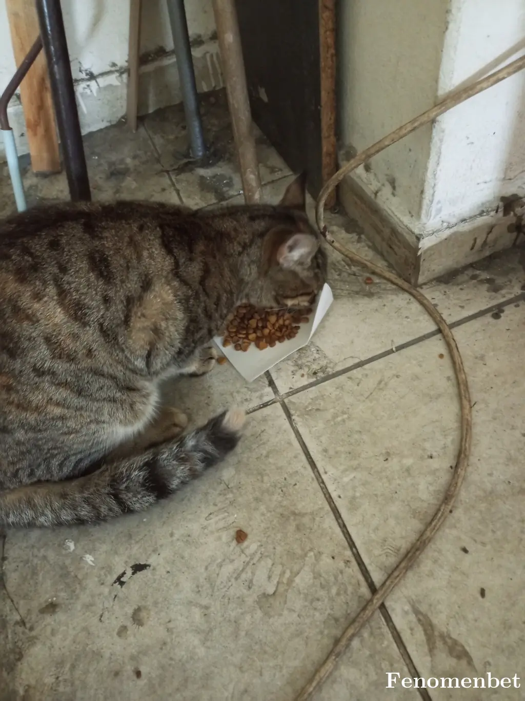 Bybilen123 tarafından paylaşılan fotoğraf