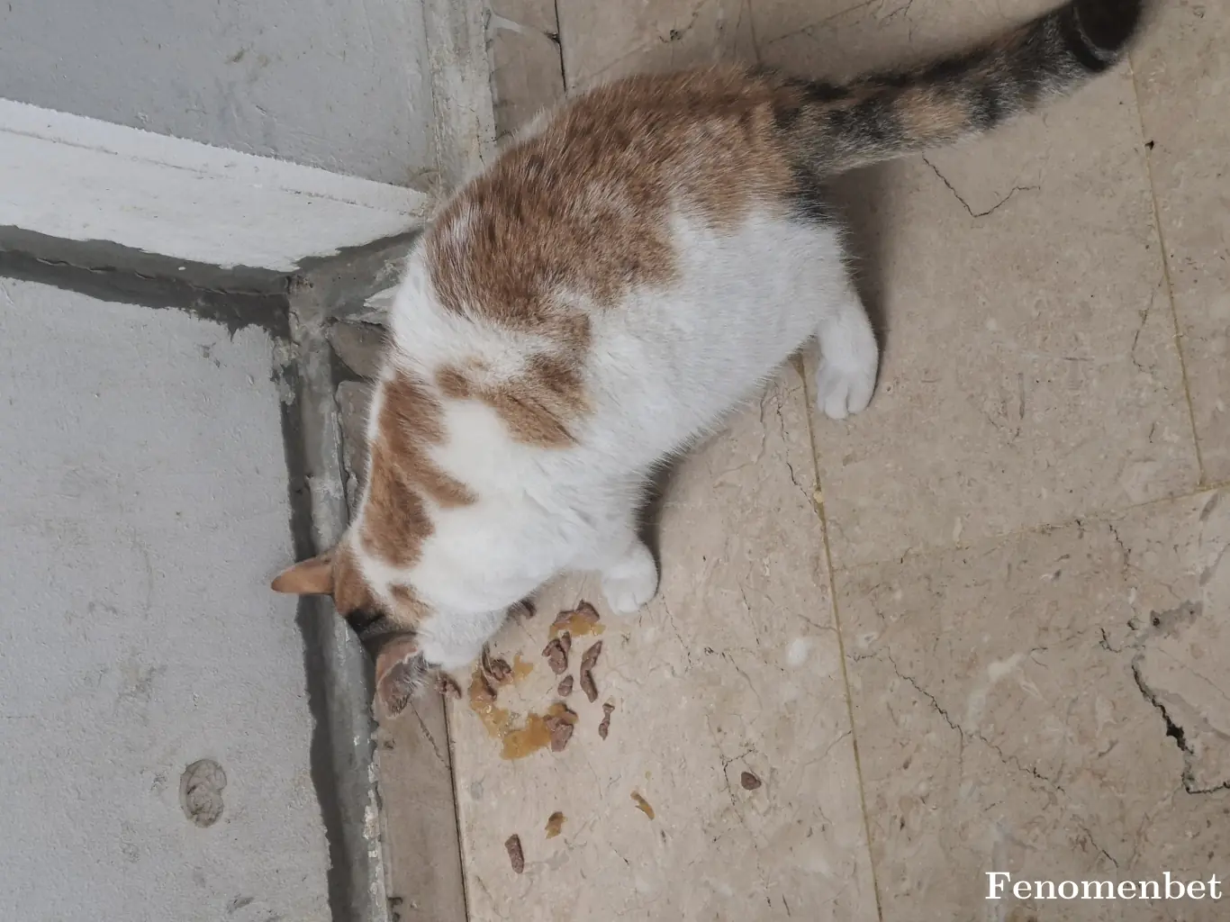 Senem98 tarafından paylaşılan fotoğraf