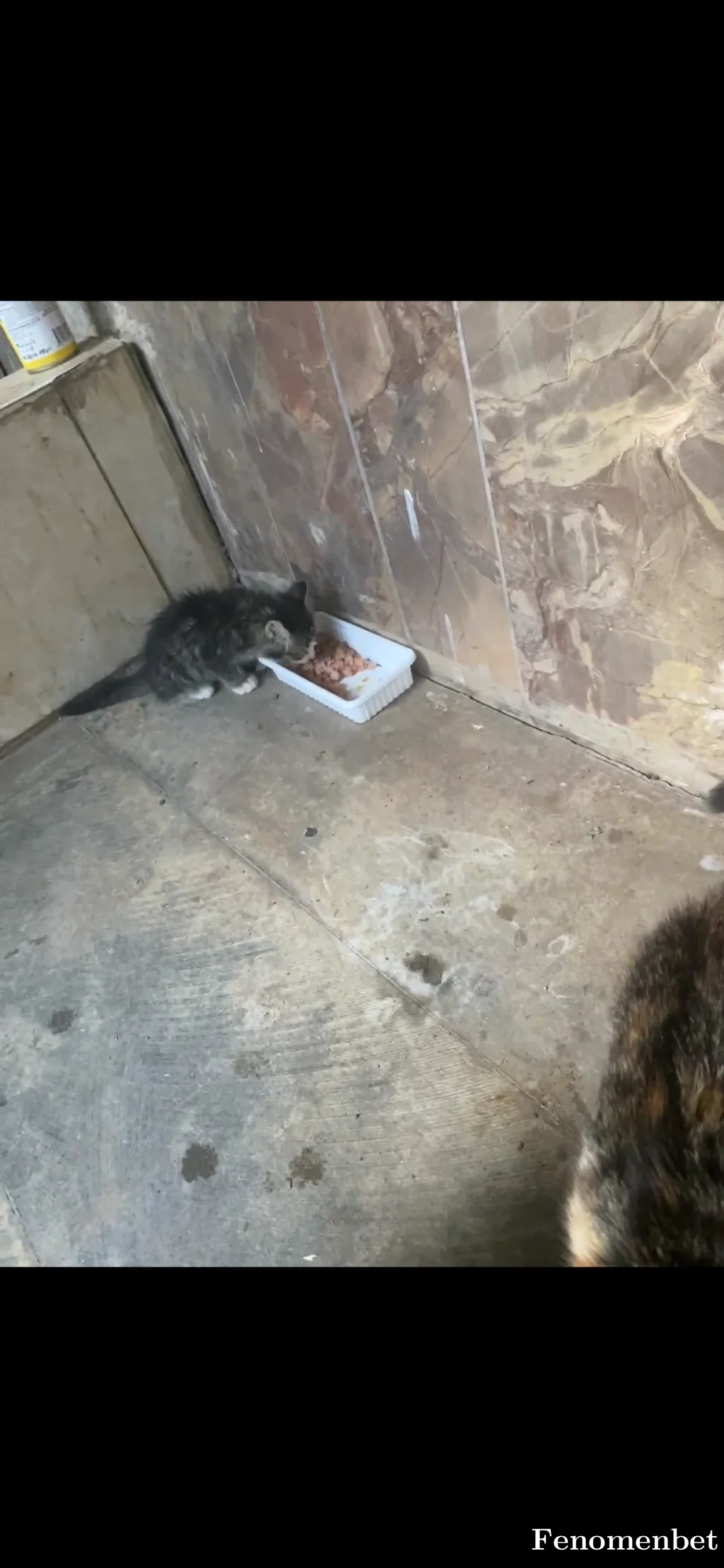 Diana211 tarafından paylaşılan fotoğraf