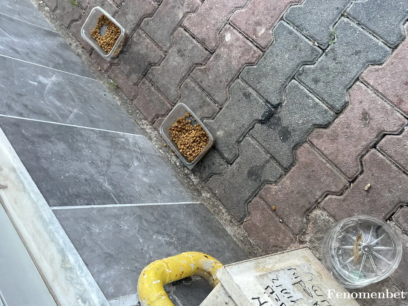 Enes3532 tarafından paylaşılan fotoğraf