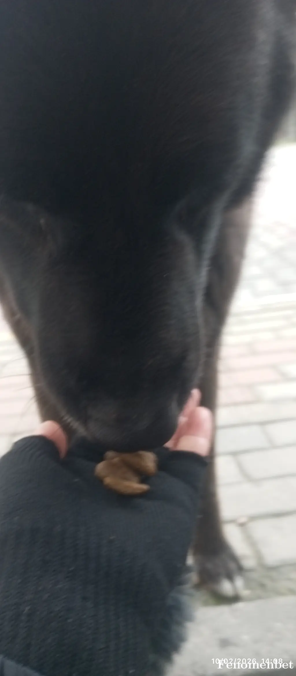 Gugu34 tarafından paylaşılan fotoğraf