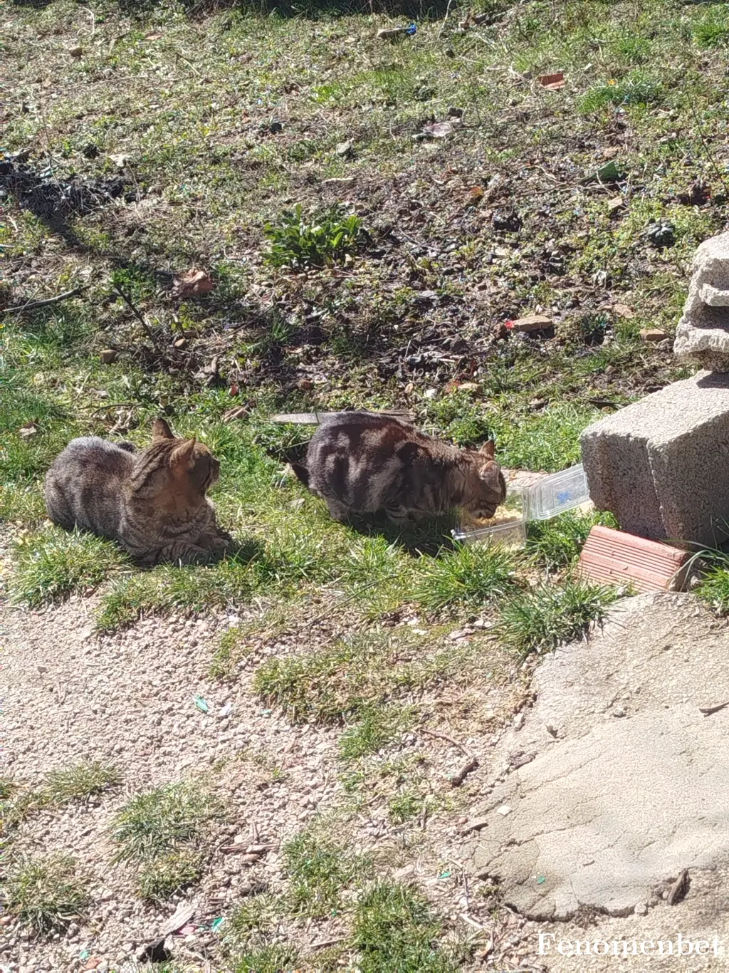 Ttturkan3232  tarafından paylaşılan fotoğraf