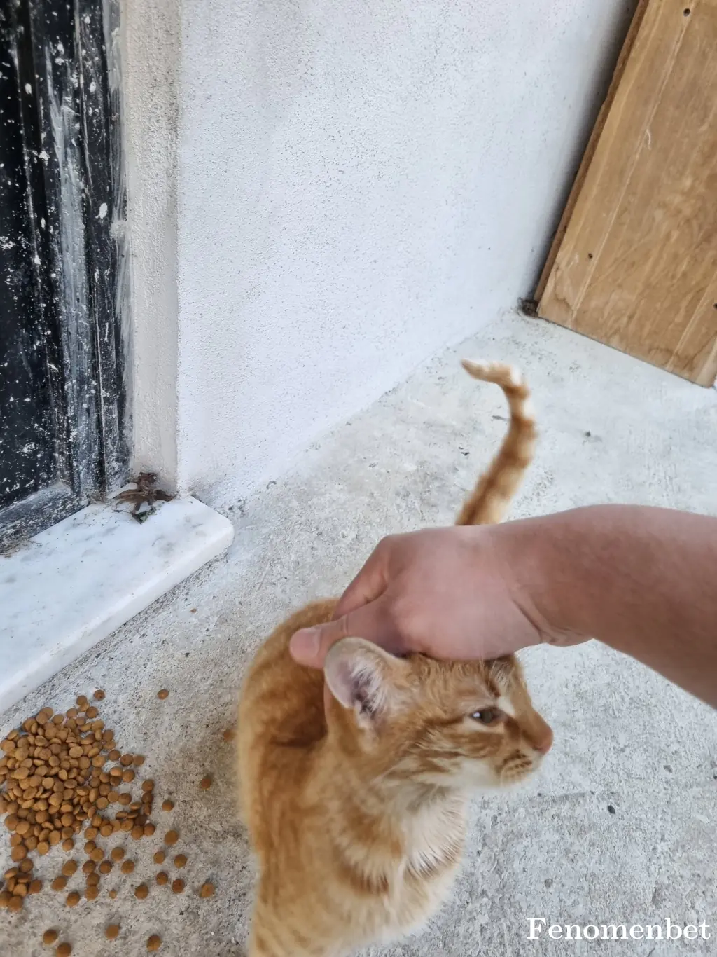 temhaizm tarafından paylaşılan fotoğraf