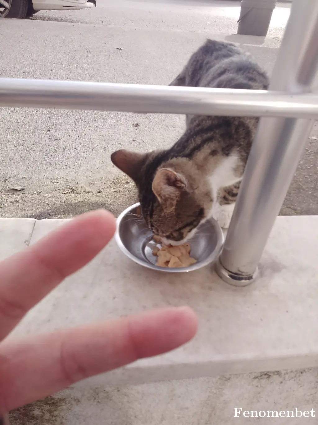 Dlkslmz  tarafından paylaşılan fotoğraf