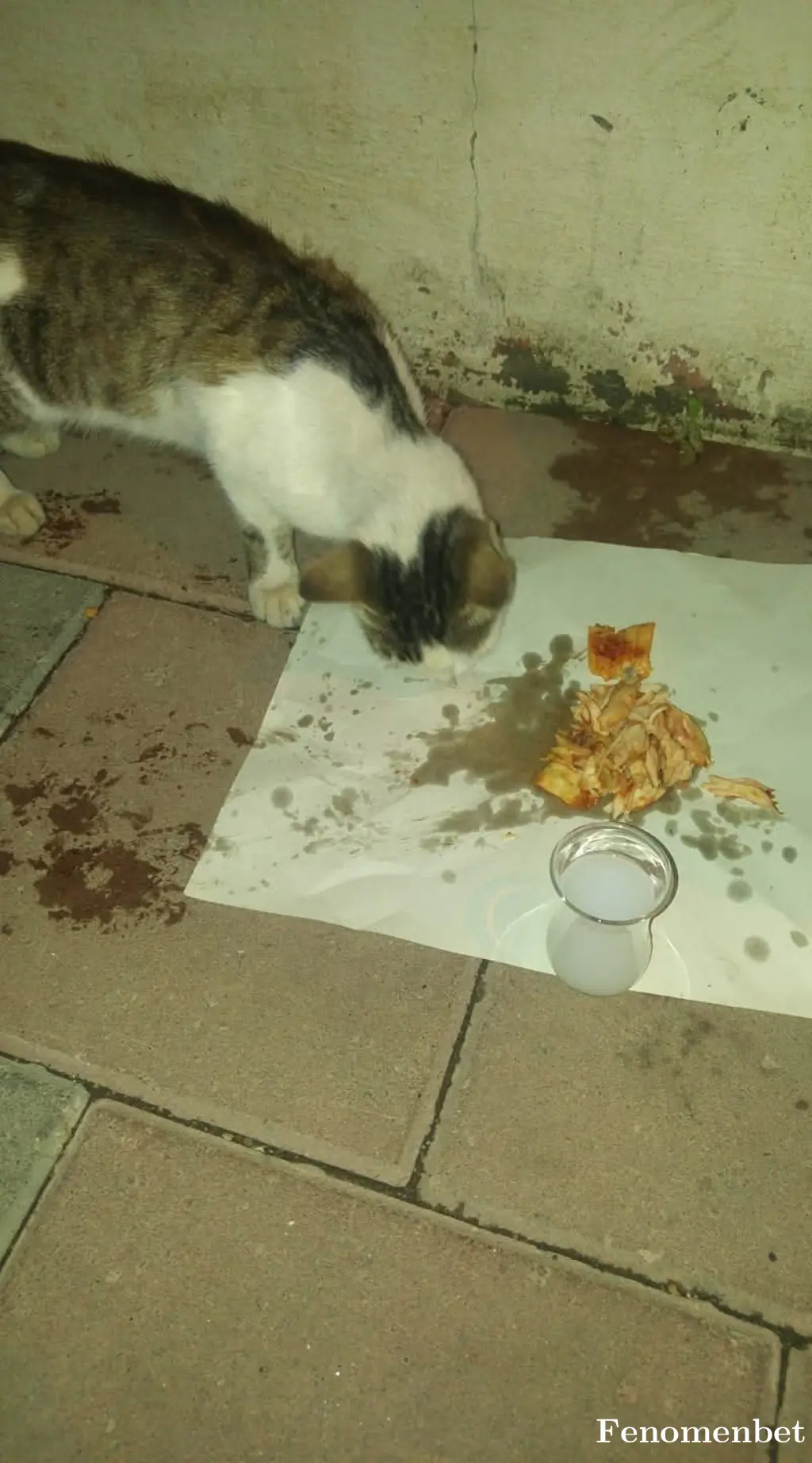 Flyman777 tarafından paylaşılan fotoğraf