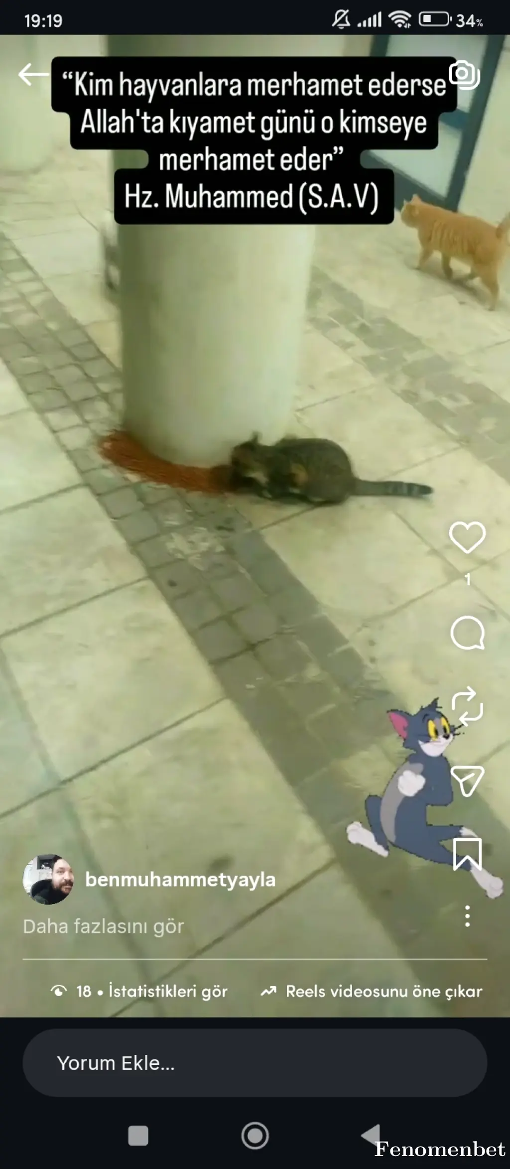 Mamibeyww tarafından paylaşılan fotoğraf