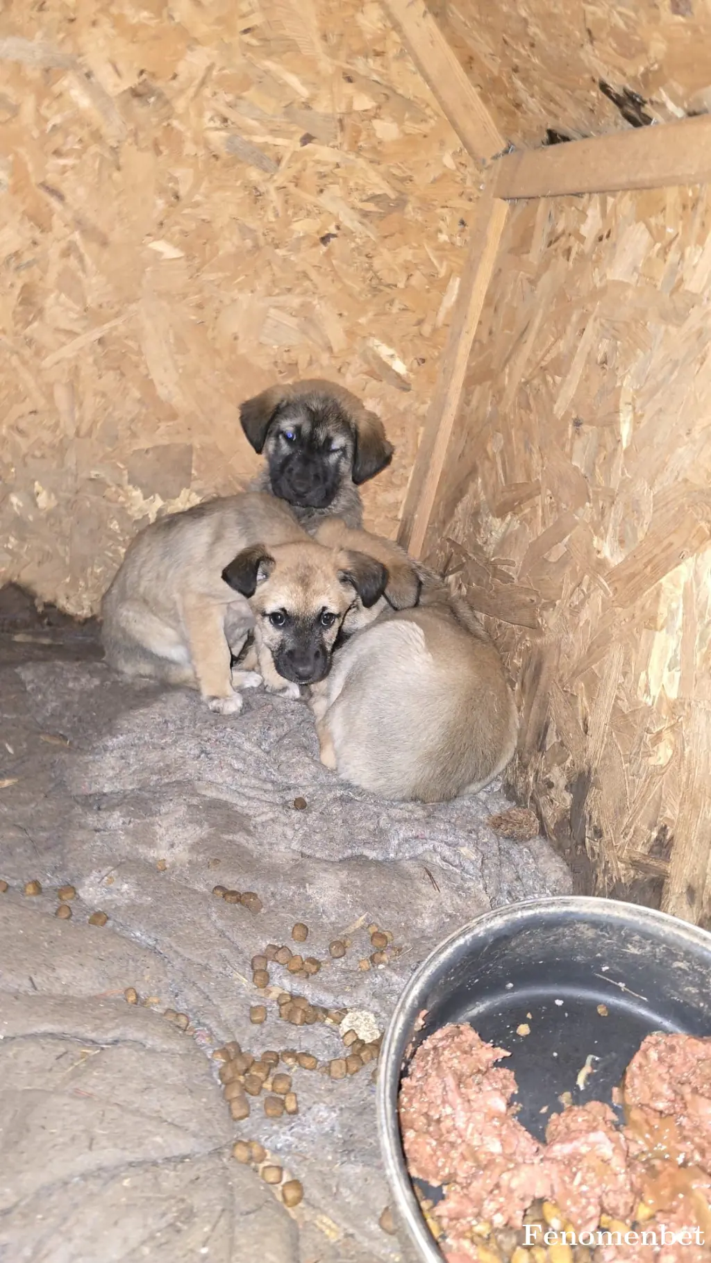 artistym  tarafından paylaşılan fotoğraf