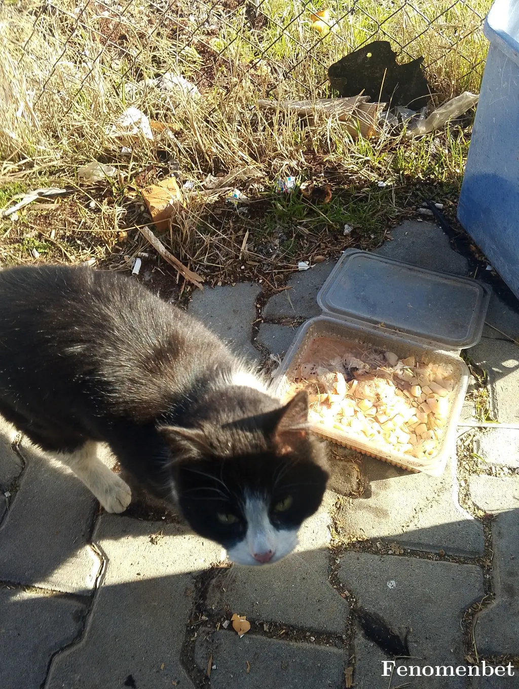 Apocan66 tarafından paylaşılan fotoğraf