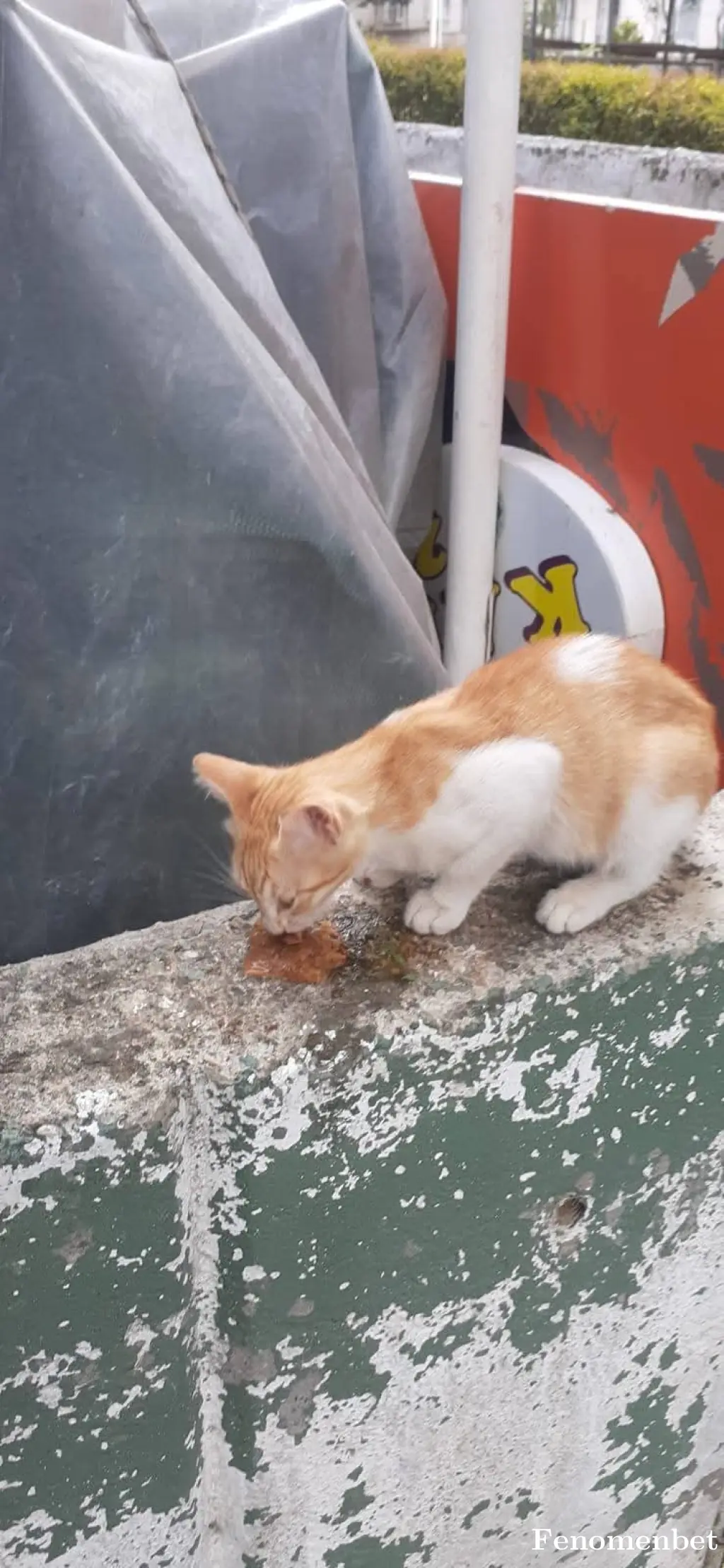 Onur1661 tarafından paylaşılan fotoğraf