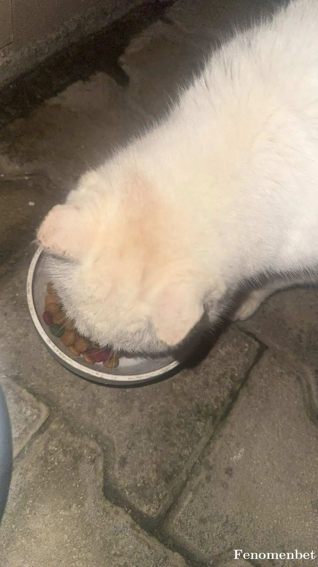 Suslu12 tarafından paylaşılan fotoğraf