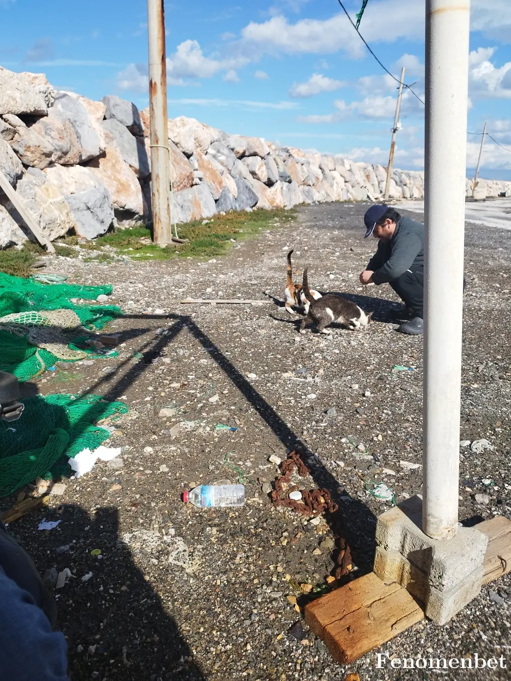 Rovesata tarafından paylaşılan fotoğraf