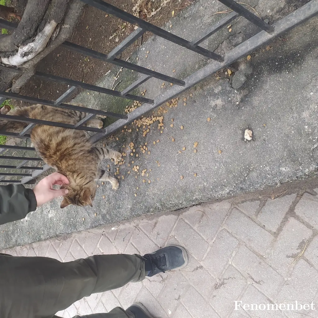 cydogukan tarafından paylaşılan fotoğraf