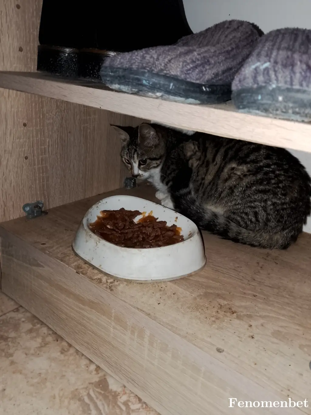 Hulya07  tarafından paylaşılan fotoğraf