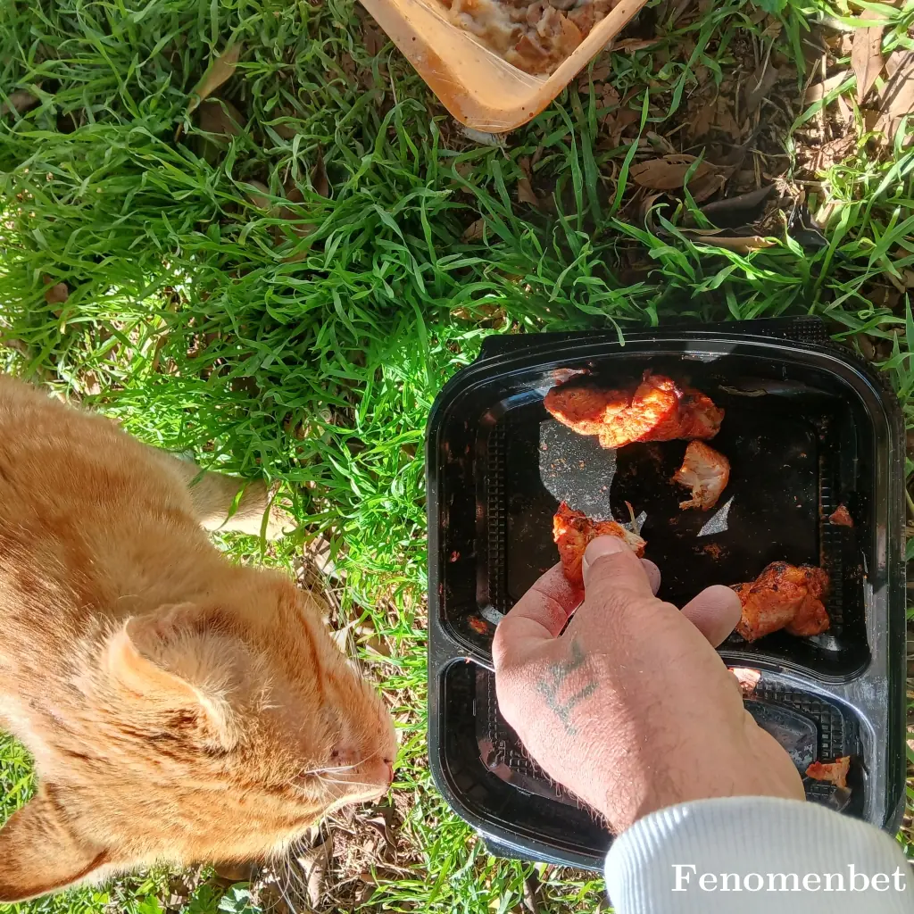 33Emrah01 tarafından paylaşılan fotoğraf