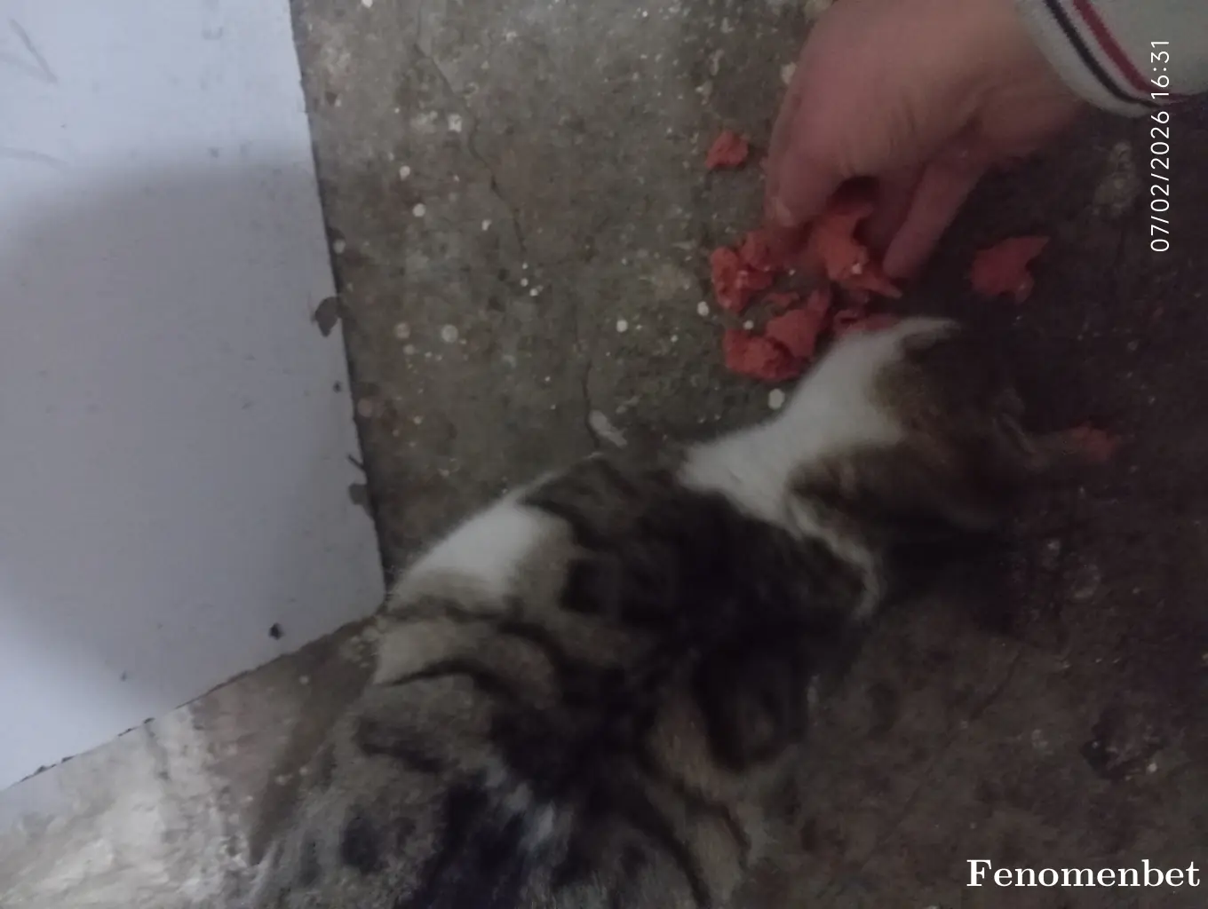 Eloderler68  tarafından paylaşılan fotoğraf