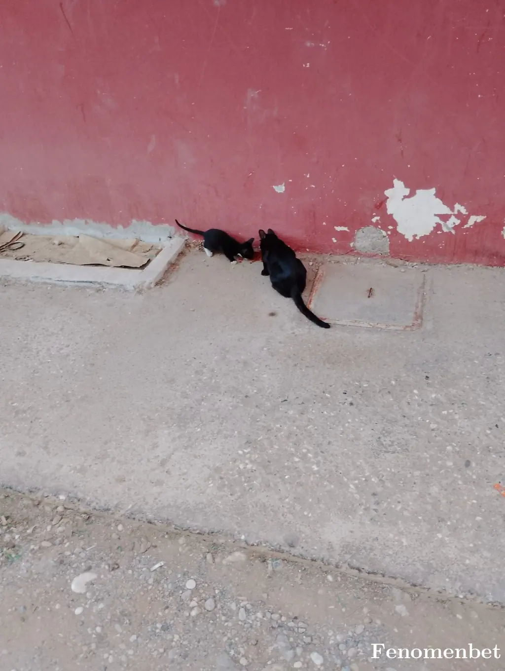 07zerre  tarafından paylaşılan fotoğraf