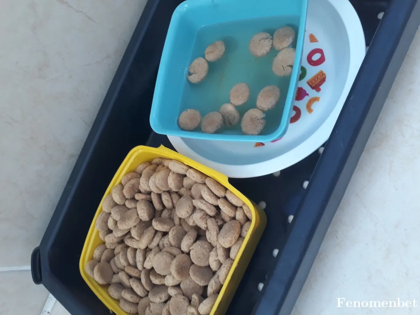 Azomi1107 tarafından paylaşılan fotoğraf