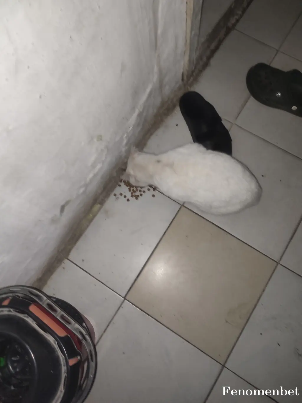 rribella87 tarafından paylaşılan fotoğraf