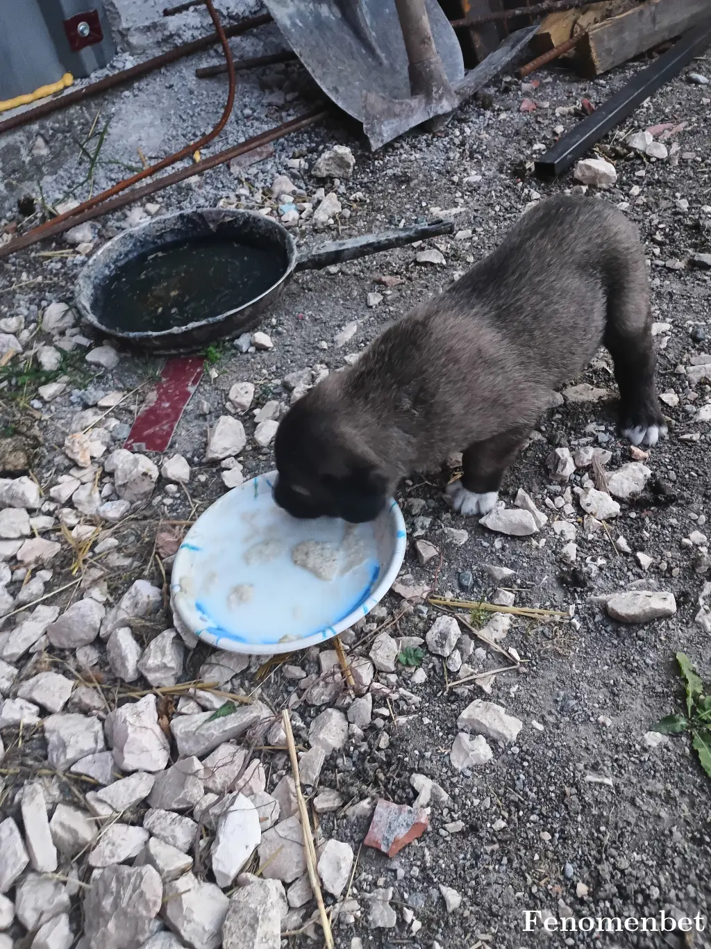 Tuborg1 tarafından paylaşılan fotoğraf