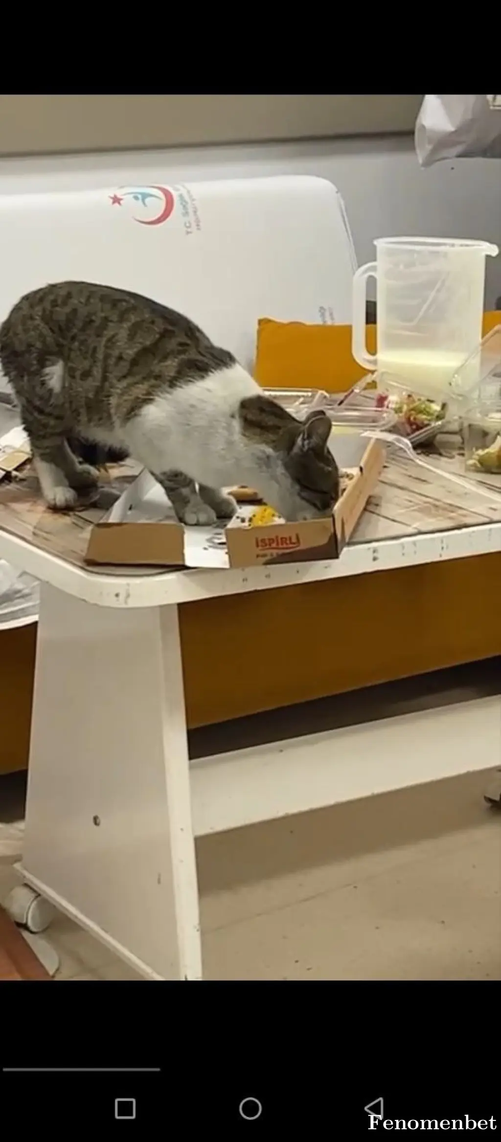 alkim1903 tarafından paylaşılan fotoğraf