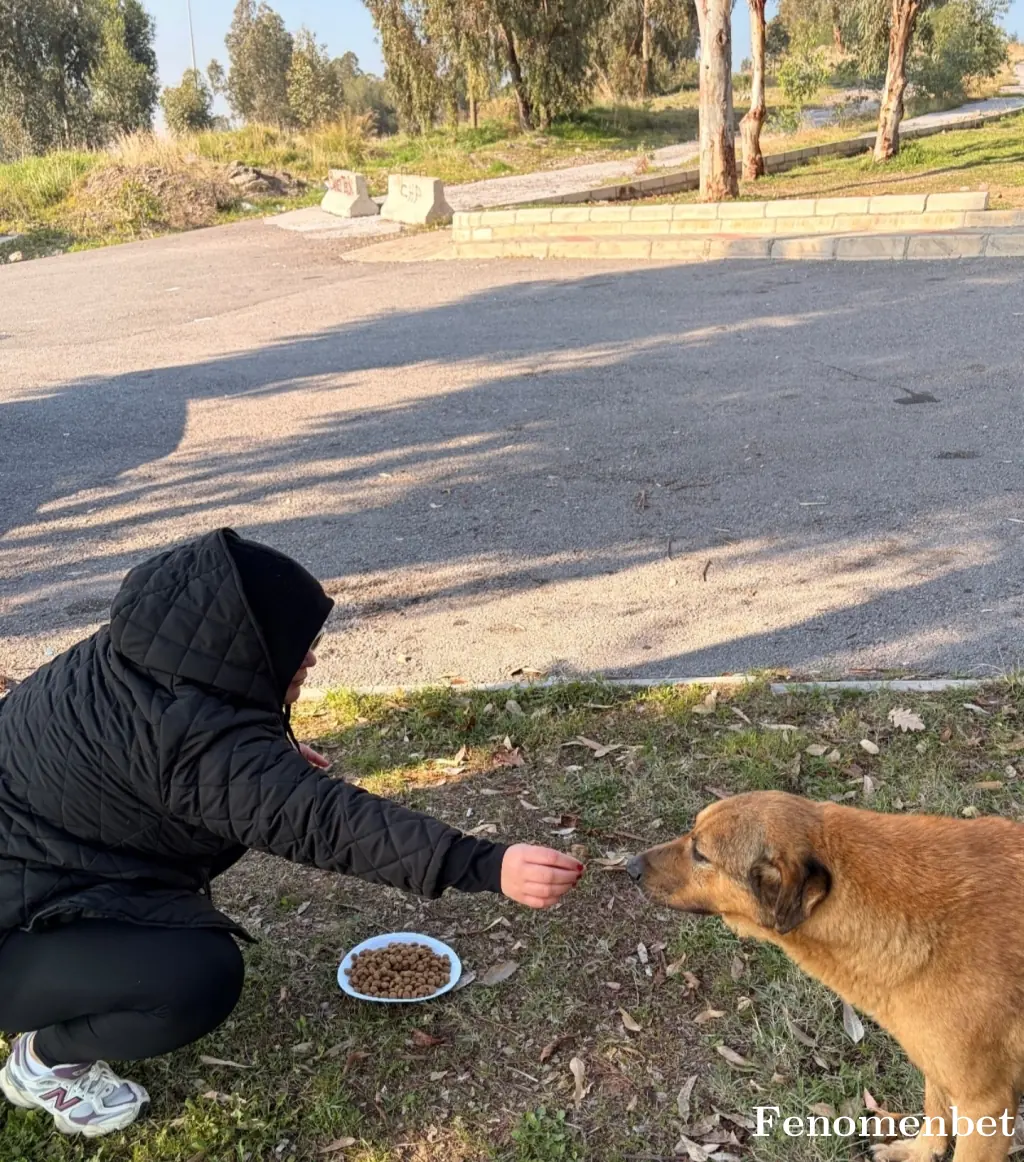 Kader3435 tarafından paylaşılan fotoğraf
