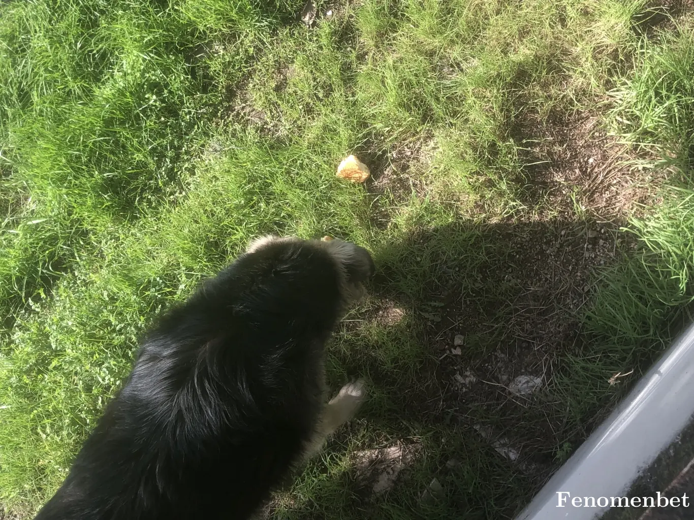 Fatherdady tarafından paylaşılan fotoğraf