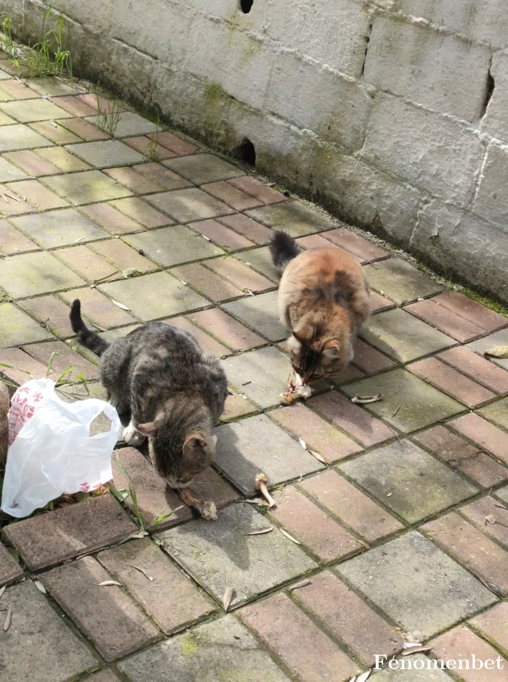 EFE240719 tarafından paylaşılan fotoğraf