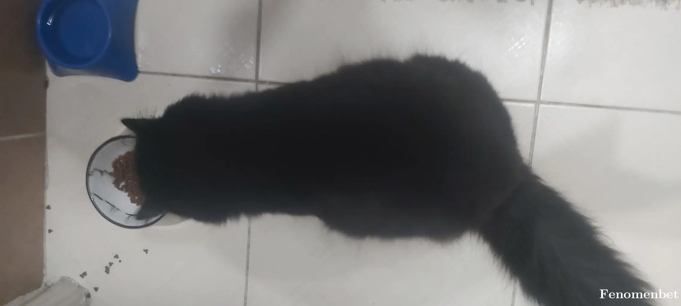 Mhmtucknn28 tarafından paylaşılan fotoğraf