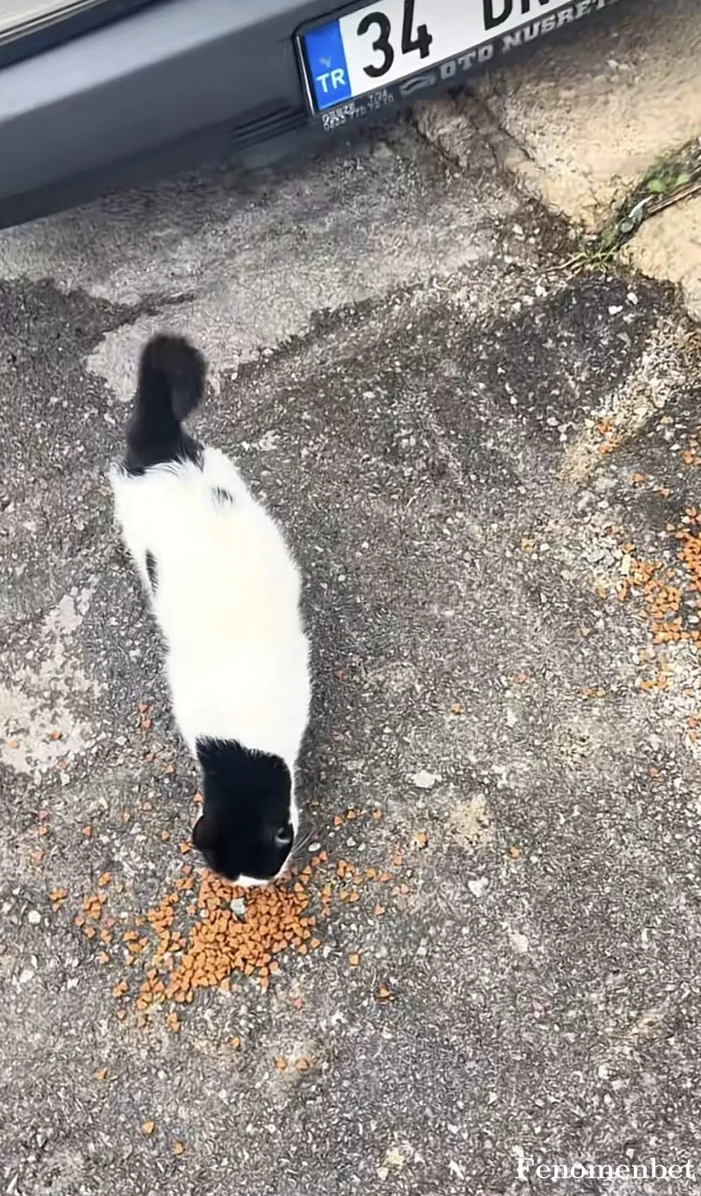 ArveNN tarafından paylaşılan fotoğraf