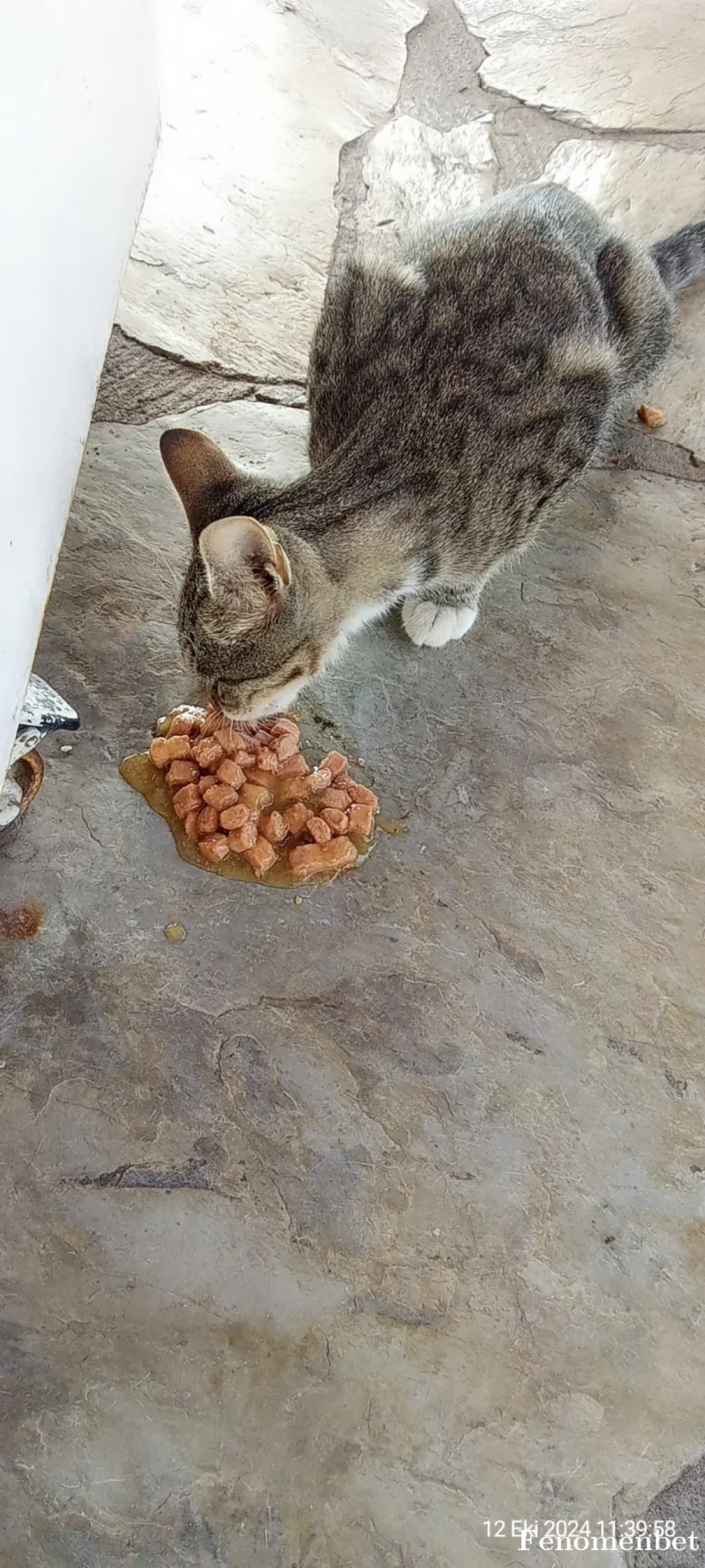 Sibel1971 tarafından paylaşılan fotoğraf