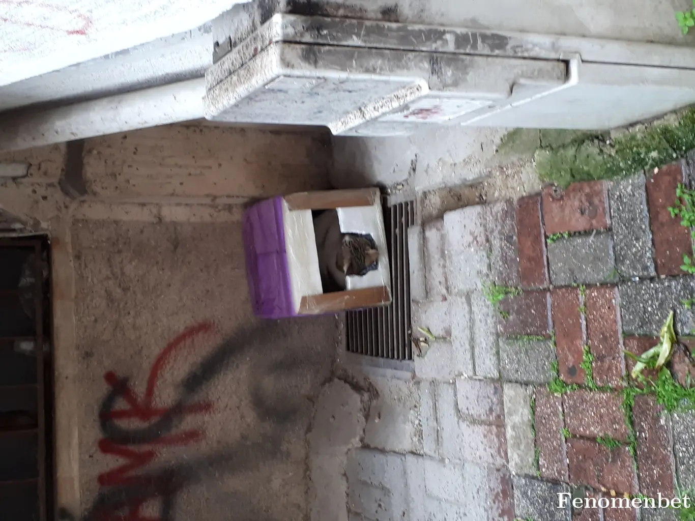 fotifoti tarafından paylaşılan fotoğraf