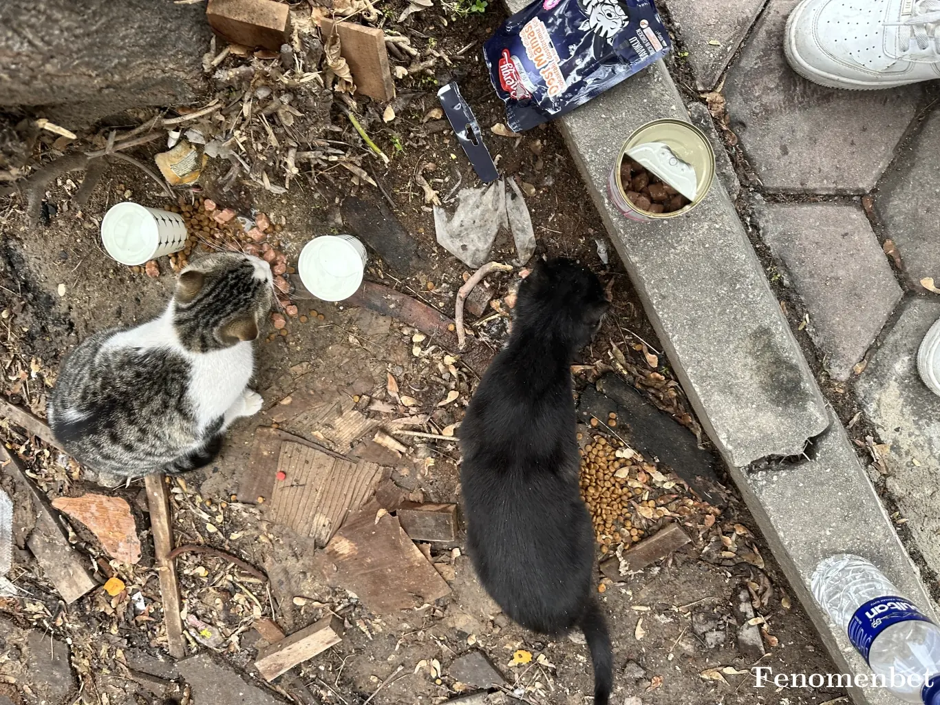 enes2525 tarafından paylaşılan fotoğraf