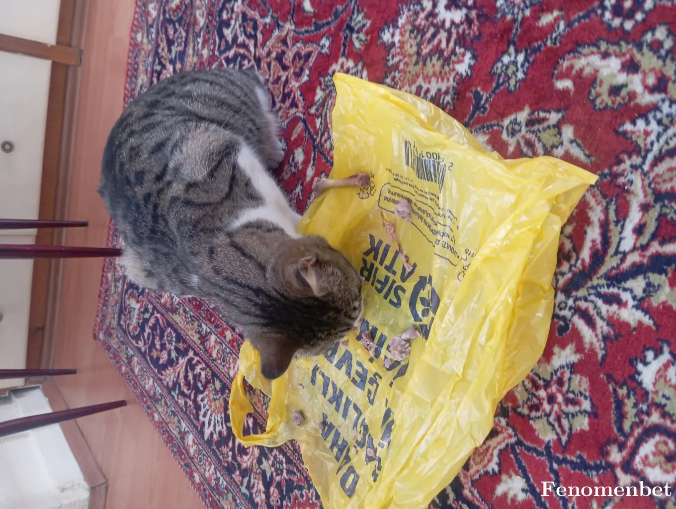 Kemanci19 tarafından paylaşılan fotoğraf