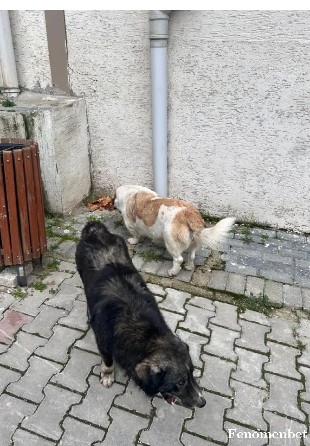 Mert2731 tarafından paylaşılan fotoğraf