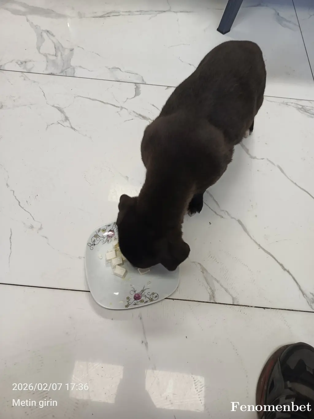 kdrwww tarafından paylaşılan fotoğraf