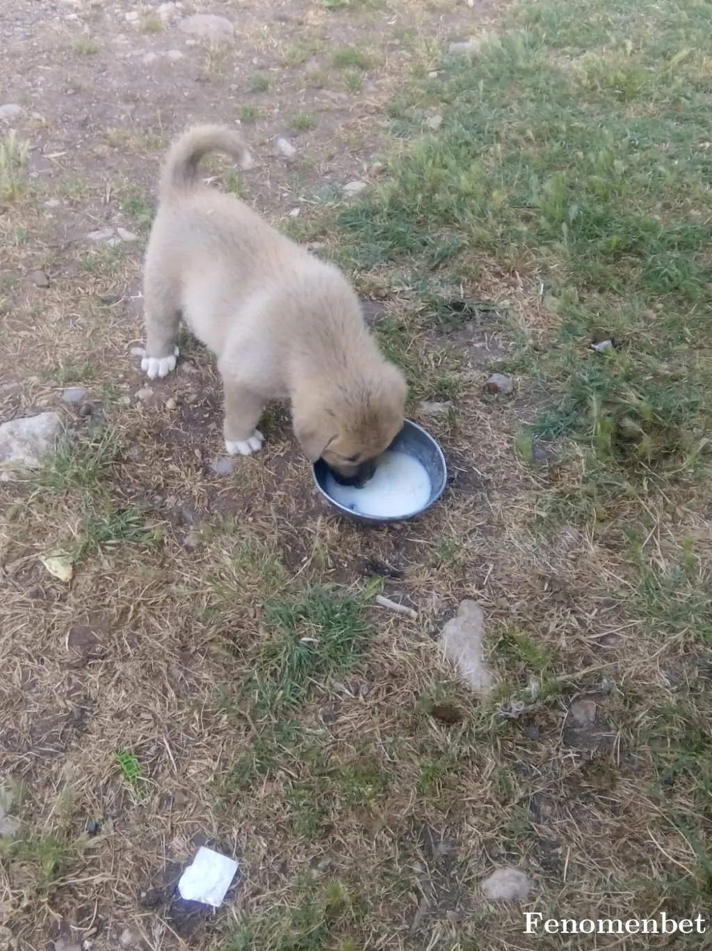 Ibo2112 tarafından paylaşılan fotoğraf