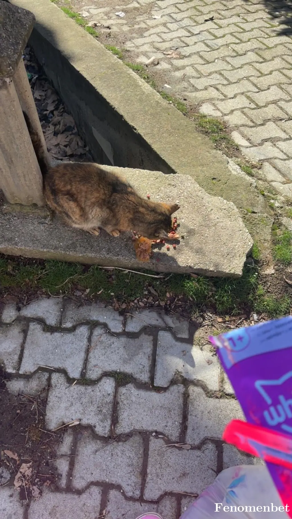 Pelomelo tarafından paylaşılan fotoğraf