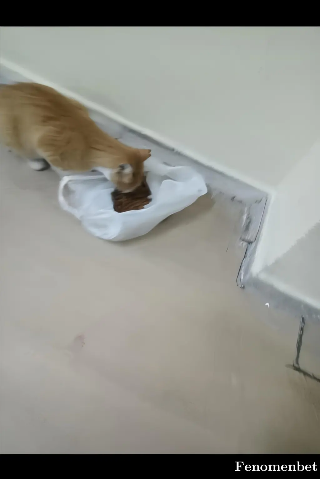 buraksipg tarafından paylaşılan fotoğraf