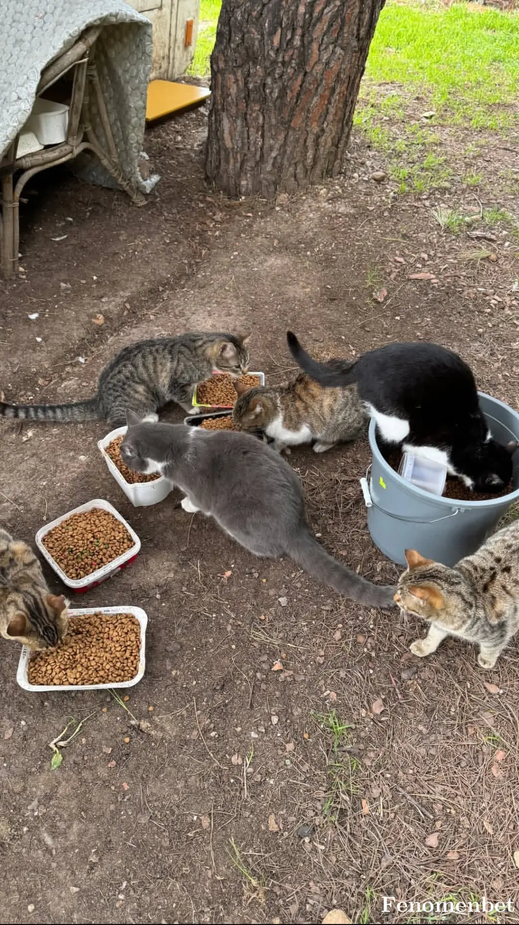 Mehmetakcay17 tarafından paylaşılan fotoğraf